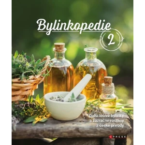 Bylinkopedie 2 - Martin Chvapil