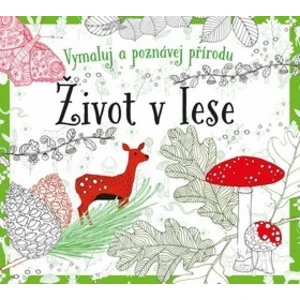 Omalovánky Život v lese - Susie Foster