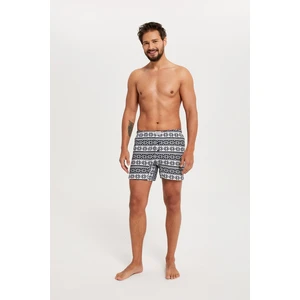 Men's boxer shorts Arctic - navy blue print