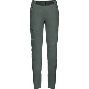 Jack Wolfskin Pantalones para exteriores Ziegspitz Pants W Slate Green M/L