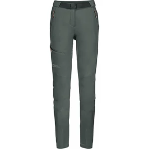 Jack Wolfskin Pantaloni outdoor Ziegspitz Pants W Slate Green M/L