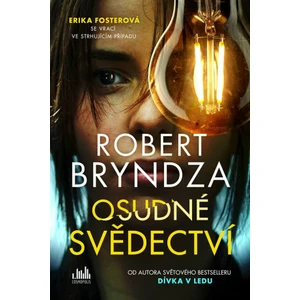 Osudné svědectví, Bryndza Robert