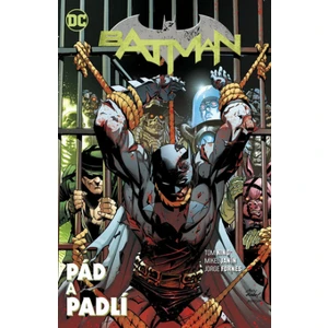 Batman - Pád a padlí - Tom King