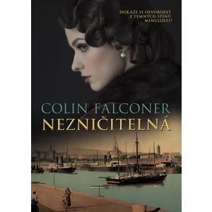 Nezničitelná - Colin Falconer