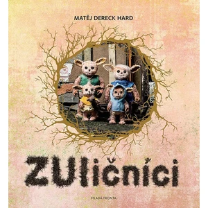 ZUličníci - Matěj Dereck Hard