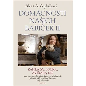 Domácnosti našich babiček II - Alena Anežka Gajdušková