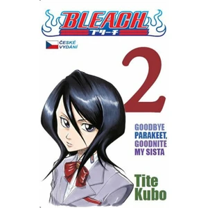 Bleach 2: Goodbye parakeet, goodnight my sista - Kubo Tite