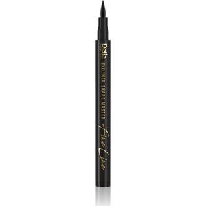 Delia Cosmetics Shape Master oční linky v peru odstín Black 2 ml