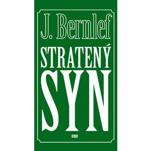 Stratený syn - Bernlef J.