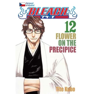 Bleach 12: Flower on the Precipice - Tite Kubo