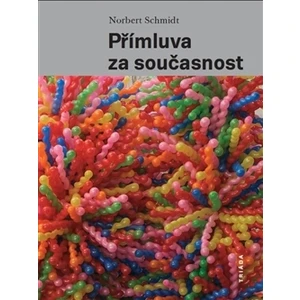 Přímluva za současnost - Norbert Schmidt