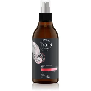 OnlyBio Hair Of The Day bezoplachová vlasová starostlivosť pre vlnité a kučeravé vlasy 300 ml