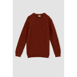 DEFACTO Boy Regular Fit Crew Neck Pullover