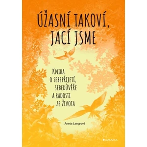 Úžasní takoví, jací jsme - Kniha o sebepřijetí, sebedůvěře a radosti ze života - Langrová Aneta