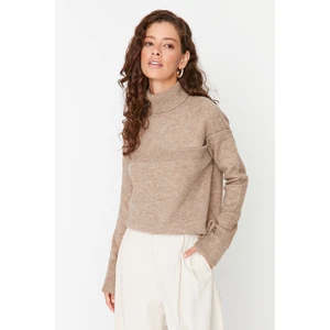 Trendyol Sweater - Brown - Regular fit