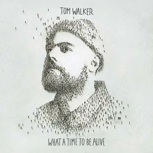 Tom Walker What a Time To Be Alive (LP)