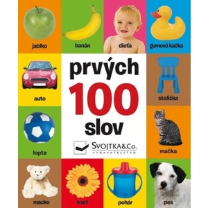 Prvých 100 slov