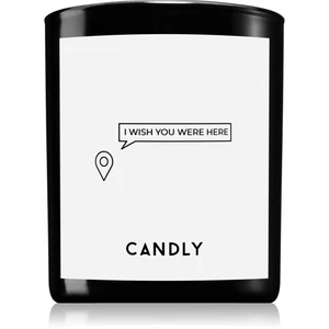 Candly & Co. I wish you were here vonná sviečka 250 g