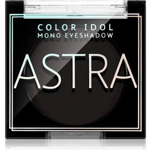 Astra Make-up Color Idol Mono Eyeshadow oční stíny odstín 10 R&B(lack) 2,2 g