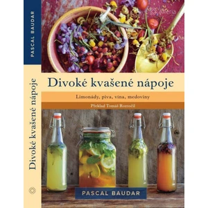 Divoké kvašené nápoje, Baudar Pascal