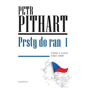 Prsty do ran I. - Petr Pithart