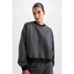 DEFACTO Regular Fit Sweatshirt