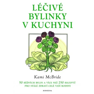 Léčivé bylinky v kuchyni - Kami McBride