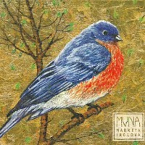 Markéta Irglová – Muna CD