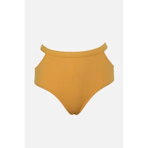 Trendyol Apricot Textured High Waist Cut Out Detailed Bikini Bottoms