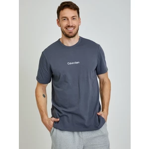 Calvin Klein Pánske tričko NM2170E-5FB S