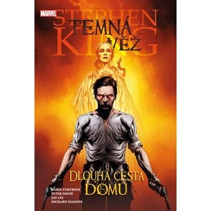 Temná věž 2 - Dlouhá cesta domů - Stephen King, Jae Lee, Peter David, Lee Jae