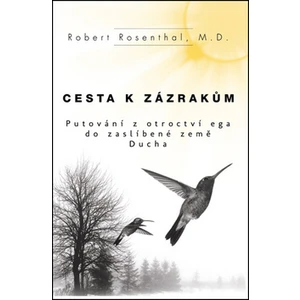 Cesta k zázrakům - Rosenthal Robert