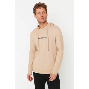 Trendyol Sweatshirt - Beige - Regular fit