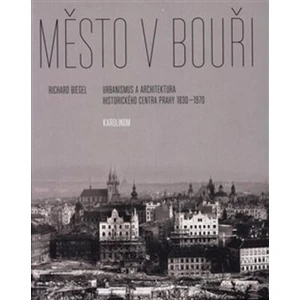 Město v bouři - Richard Biegel