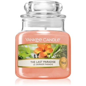 Yankee Candle The Last Paradise vonná sviečka 104 g