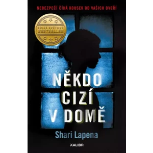 Někdo cizí v domě - Shari Lapena