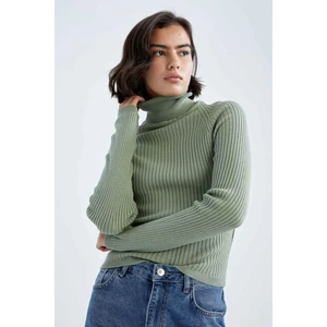 DEFACTO Slim Fit Turtleneck Pullover