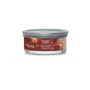 Yankee Candle Autumn Daydream vonná sviečka 340 g