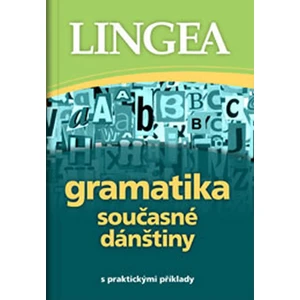 Gramatika současné dánštiny -- s praktickými příklady