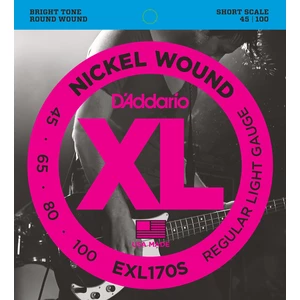 D'Addario EXL170S