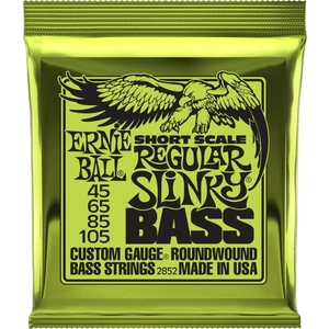 Ernie Ball 2852 Regular Slinky Bass