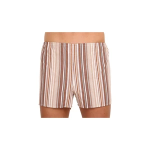 Classic men's shorts Foltín brown with oversized stripes