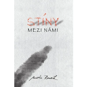 Stíny mezi námi - Rousek Martin