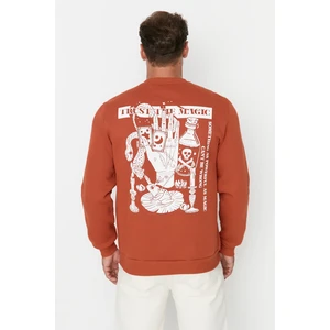 Trendyol Sweatshirt - Brown - Regular fit