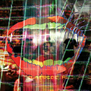 Animal Collective Centipede HZ (2 LP)