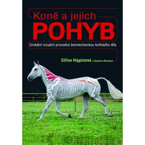 Koně a jejich pohyb - Gillian Higginsová