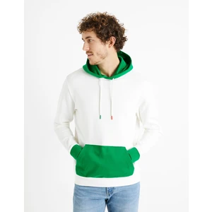 Celio Demultico Hoodie - Men