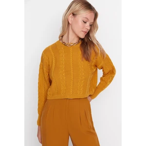 Trendyol Sweater - Orange - Regular fit