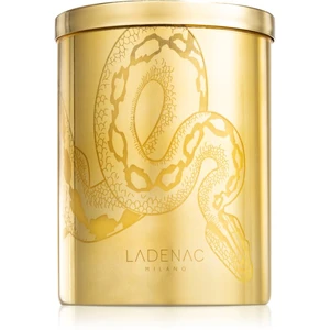 Ladenac Africa Serpiente Temptation vonná sviečka 350 g