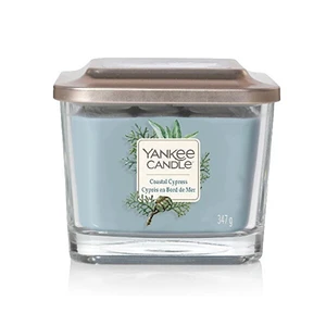 Svíčka YANKEE CANDLE Elevation Coastal Cypress 347g